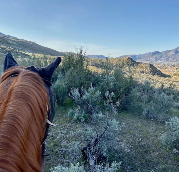 Coyote's Gift Shop - Destination Osoyoos