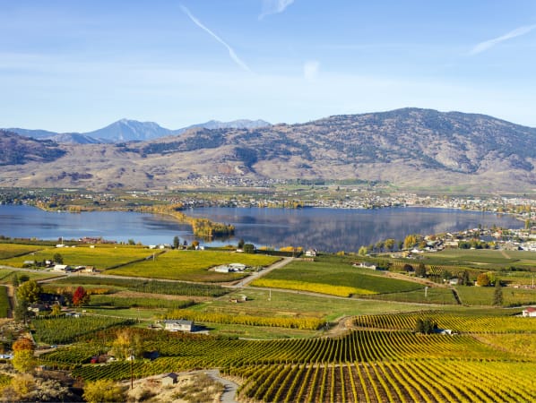 Vineyards and Osoyoos Lake, in Osoyoos BC