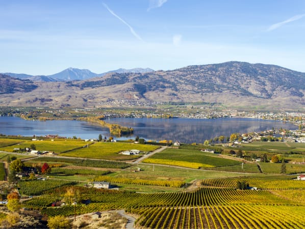 Vineyards and Osoyoos Lake, in Osoyoos BC