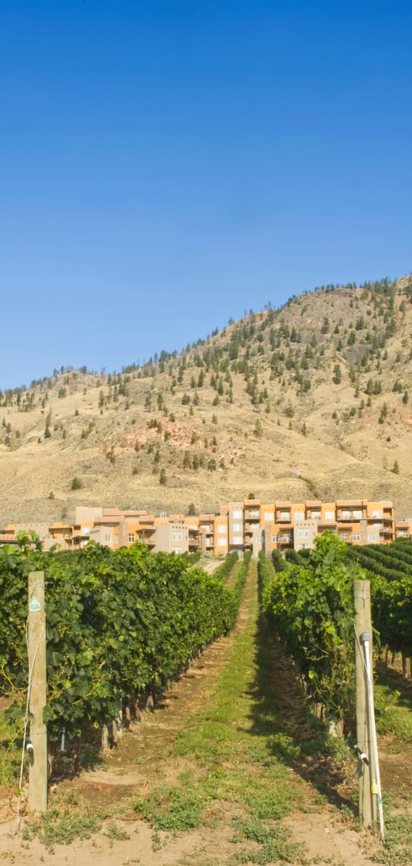 Group room bookings to explore Osoyoos, BC