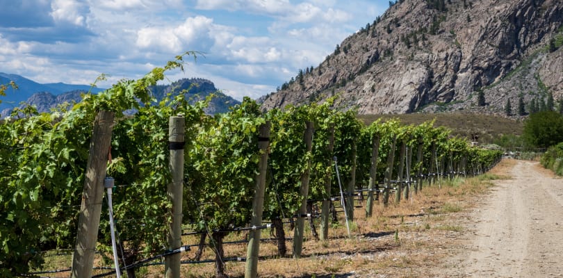 Explore Osoyoos